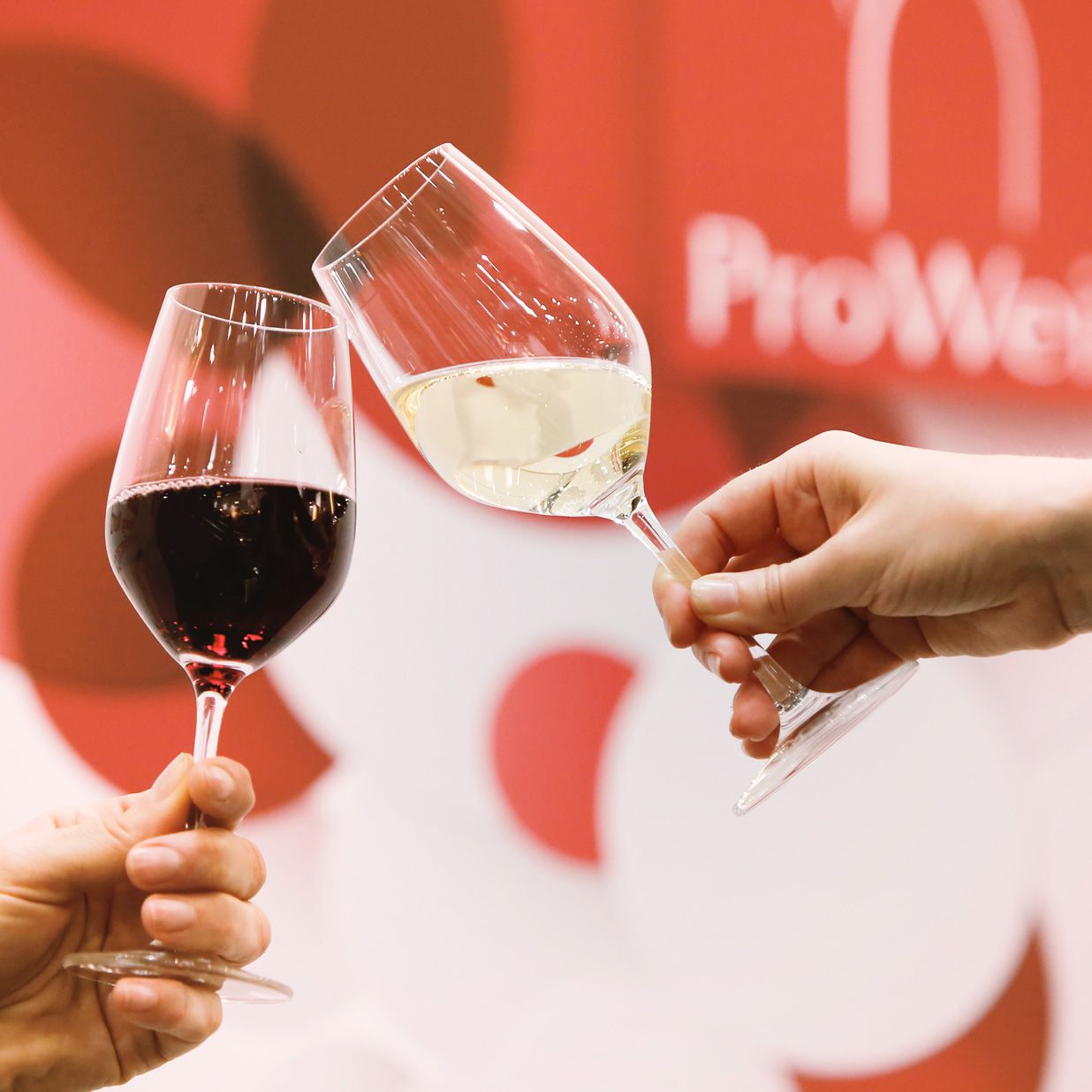 &#12461;&#12531;&#12479;&#12539;&#12487;&#12539;&#12450;&#12510;&#12524;&#12473;&#12364;internacional Prowein &#12395;&#20986;&#24109;